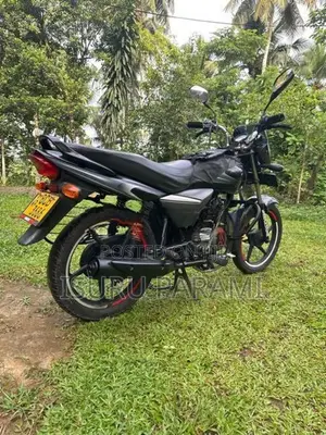 Bajaj Platina 100 2015