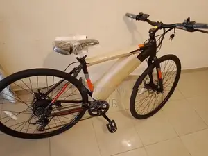 WaltX Spark 5 Electric Bicycle