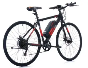 WaltX Spark 5 Electric Bicycle