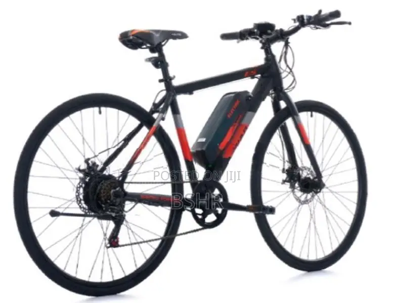 WaltX Spark 5 Electric Bicycle