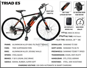 WaltX Spark 5 Electric Bicycle