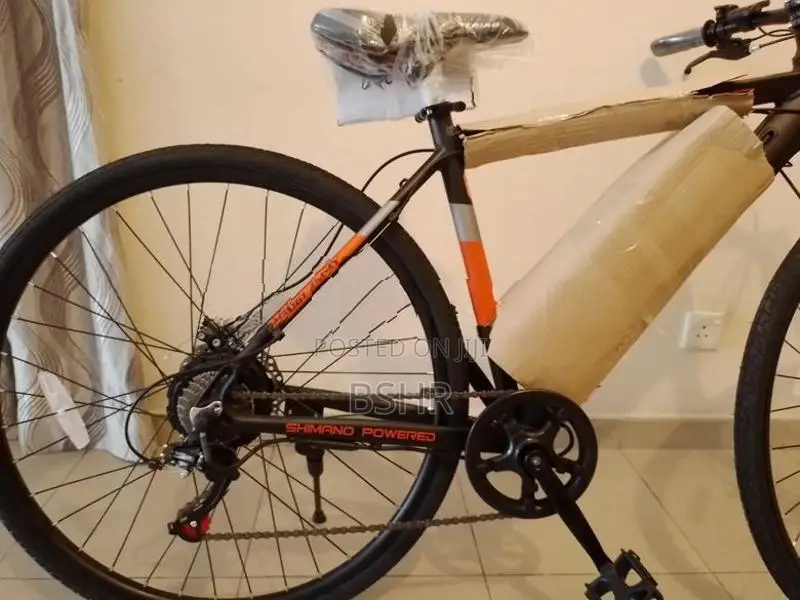 WaltX Spark 5 Electric Bicycle