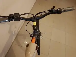 WaltX Spark 5 Electric Bicycle