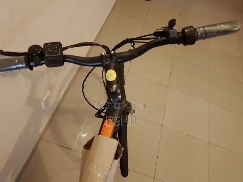 WaltX Spark 5 Electric Bicycle