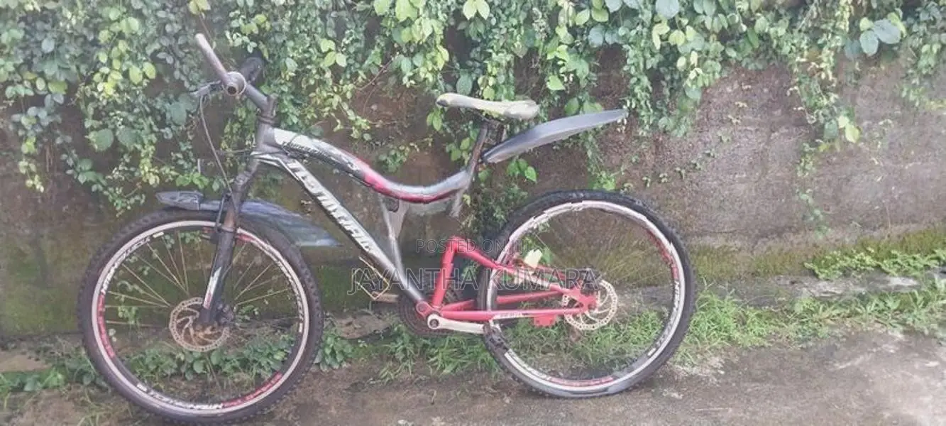 Tomahawk Bicycle
