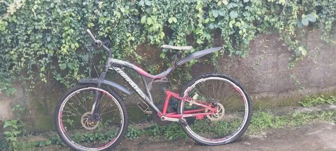 Tomahawk Bicycle