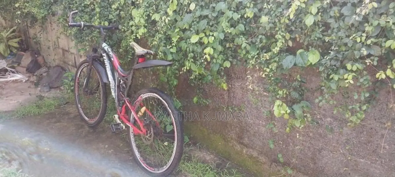 Tomahawk Bicycle