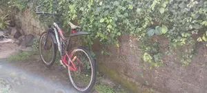 Tomahawk Bicycle