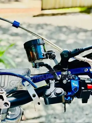 Kawasaki D Tracker 2010