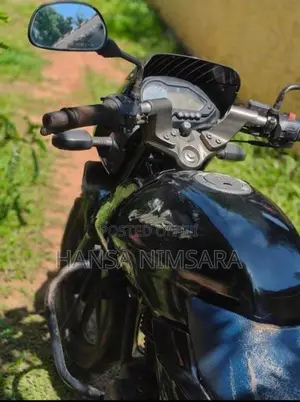 Bajaj Pulsar 150 2010