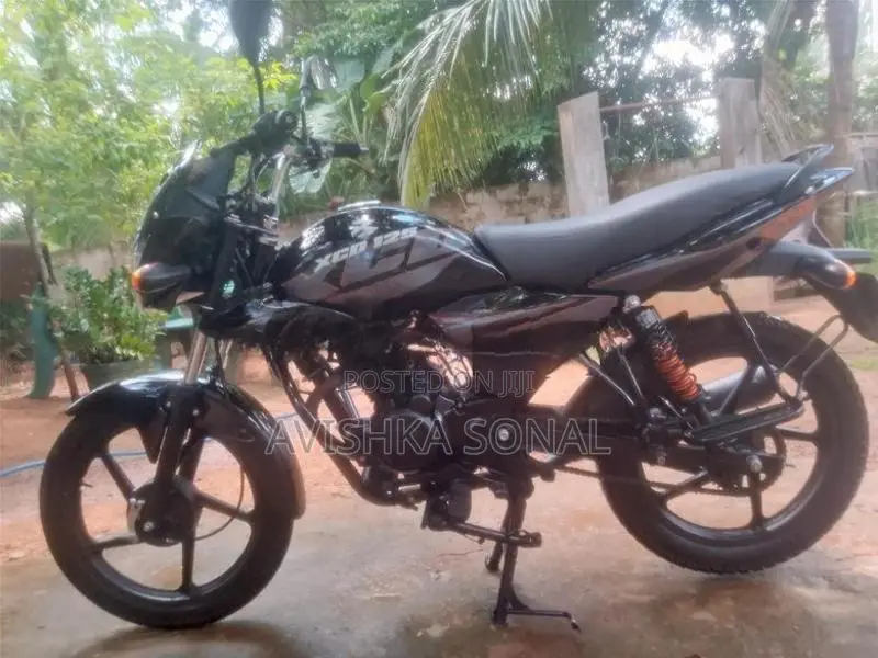Bajaj XCD 125 2008