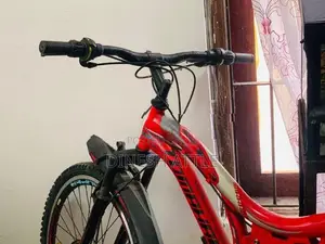 Tomahawk Bicycle