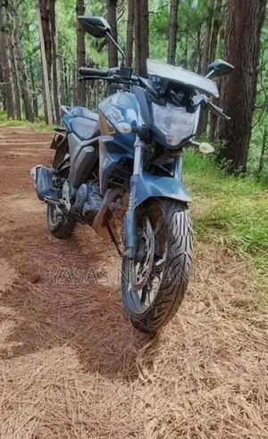 Yamaha FZs V2 Anniversary 2019