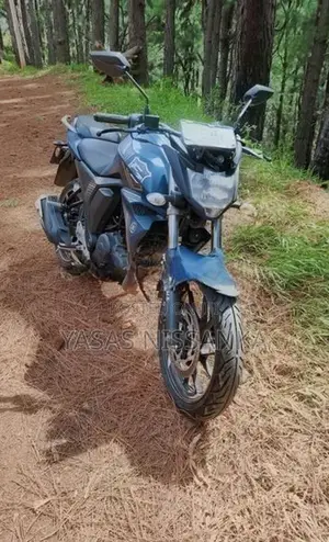 Yamaha FZs V2 Anniversary 2019