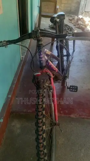 Used Bicycle