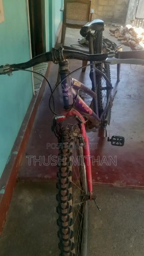 Used Bicycle