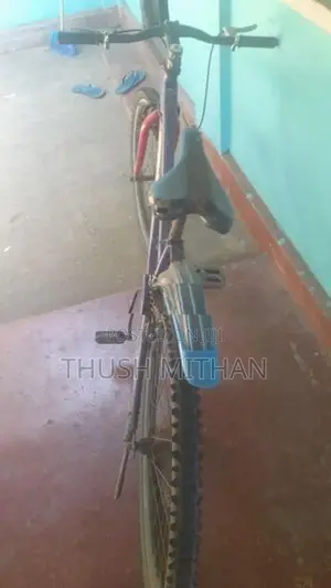 Used Bicycle