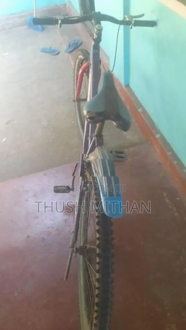 Used Bicycle