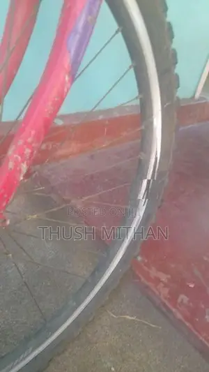 Used Bicycle