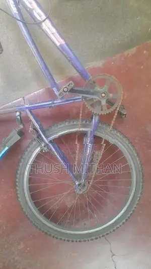 Used Bicycle
