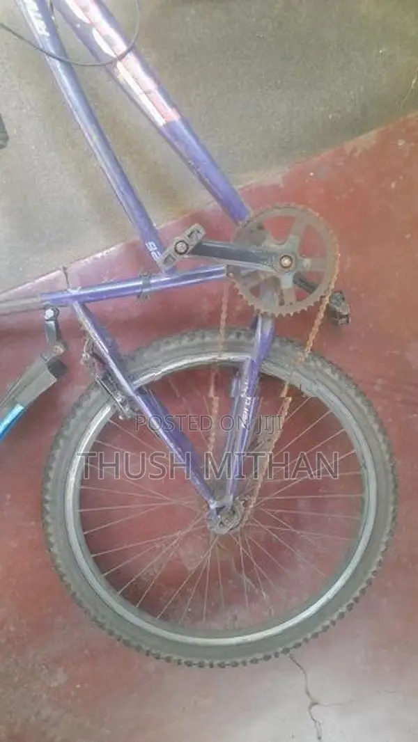 Used Bicycle