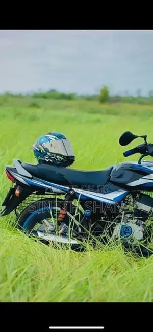 Bajaj CT100 2024