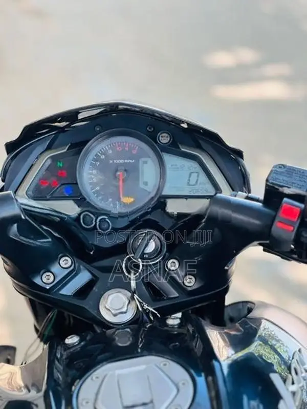 Bajaj Pulsar NS200 2019