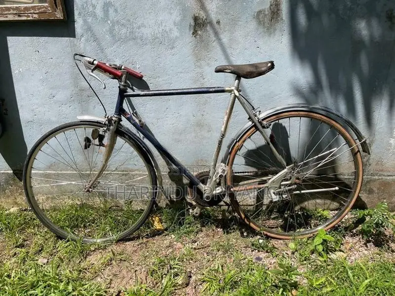 Bicycle
