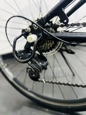 Japan Imported Bicycles