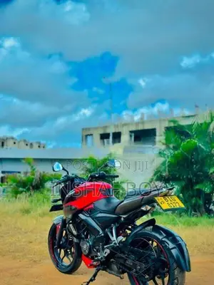 Bajaj Pulsar NS200 2019