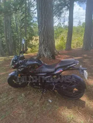 Bajaj Pulsar N160 2025 Motorbike (Used)