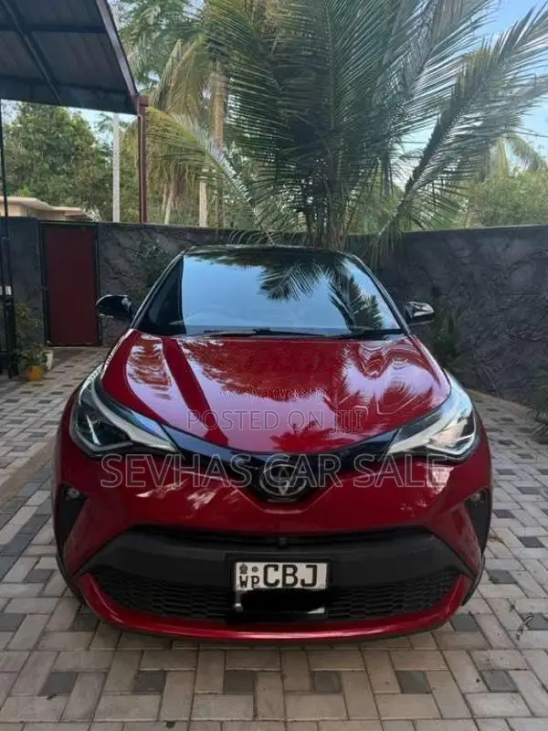Toyota CHR 2019 SUV (Used)