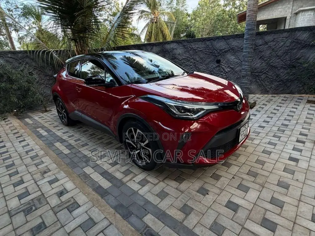 Toyota CHR 2019 SUV (Used)