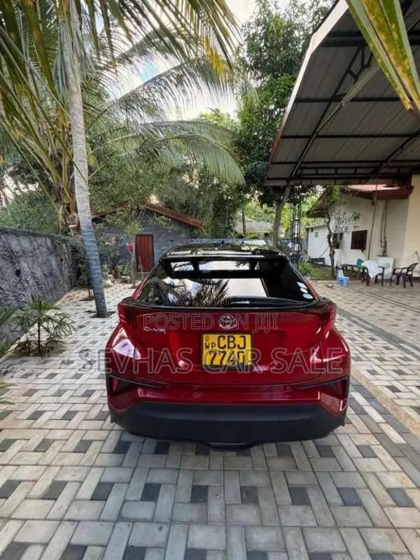 Toyota CHR 2019 SUV (Used)