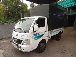 Tata Dimo Lokka 2019 Lorry (Used)