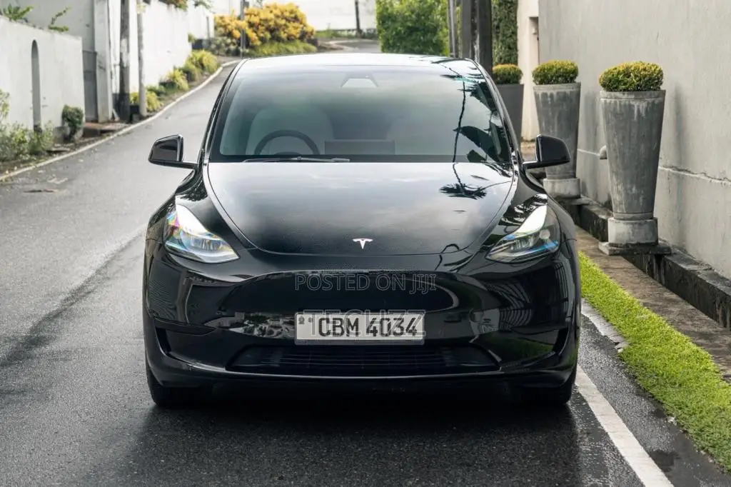 Tesla Model Y 2024 SUV (Used)
