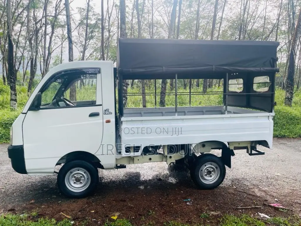 Mahindra Maxximo 2013 Lorry (Used)
