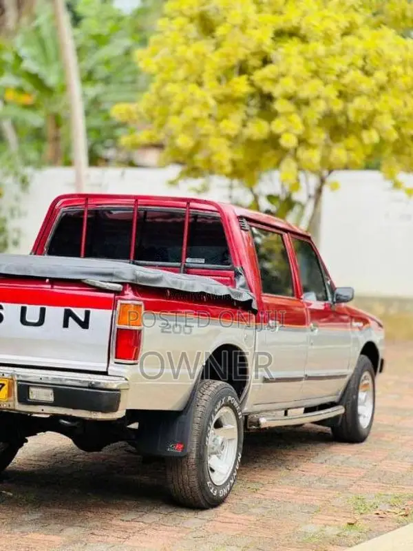 Nissan Datsun 1982 Pickup (Used)