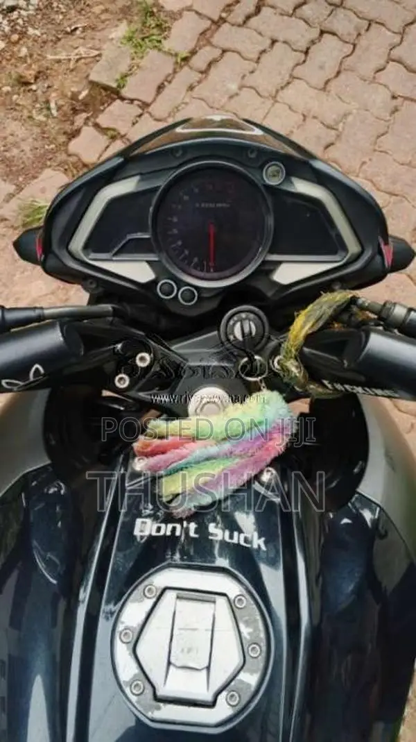 Bajaj Pulsar NS200 2019 Motorbike (Used)