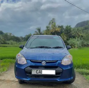 Suzuki Alto LXI 2015 Car (Used)
