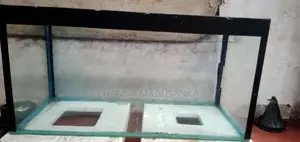 2.5 × 1 ×1.5 Feet Fish Tank