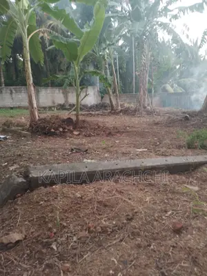 Highly Residential Land for Sale in Piliyandala Town