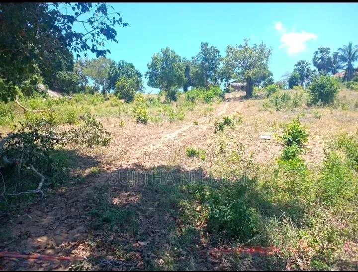 Urgent Sale - 120 Perches Land in Panama, Arugam Bay