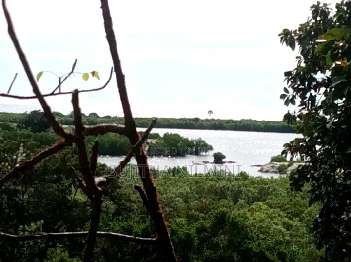 Urgent Sale - 120 Perches Land in Panama, Arugam Bay