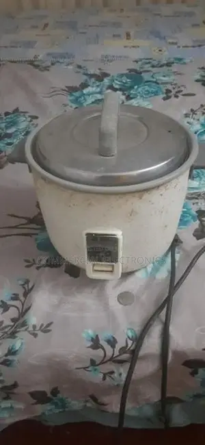 Panasonic rice cooker