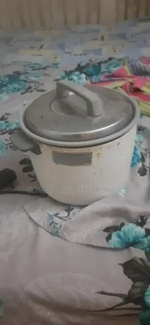 Panasonic rice cooker
