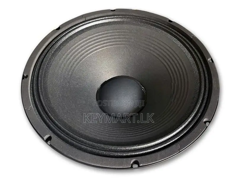 15 inch Woofer Driver - 15F69D 400W R.M.S.