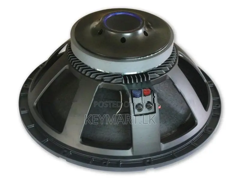 18X1500 - 1500W Woofer Speaker