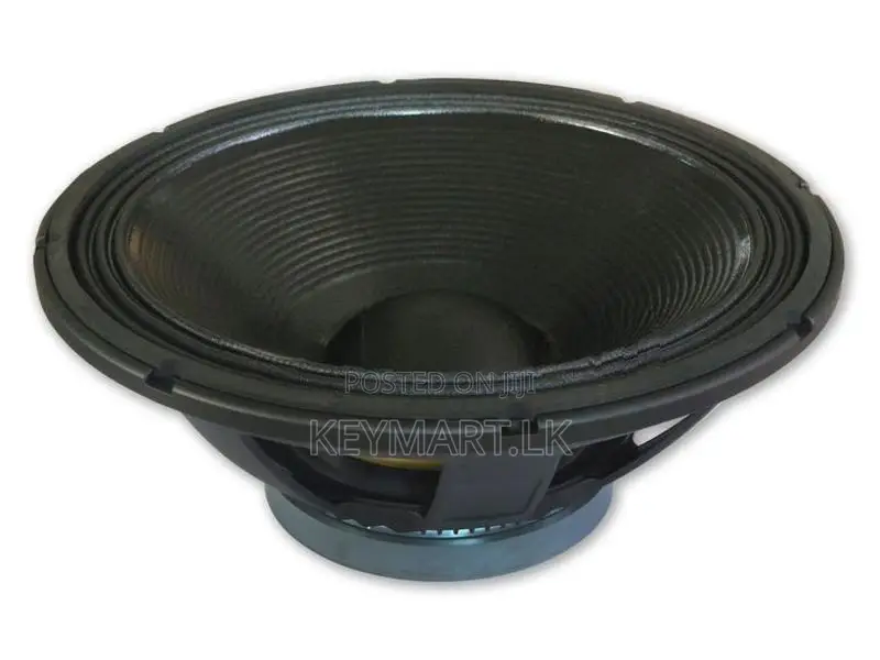 18X1500 - 1500W Woofer Speaker