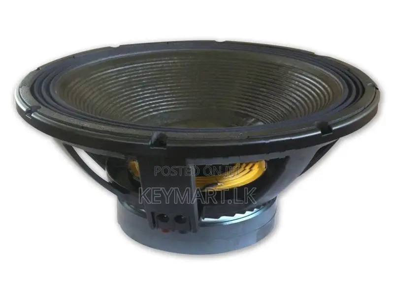 18TBX100 - 2000W Woofer Speaker